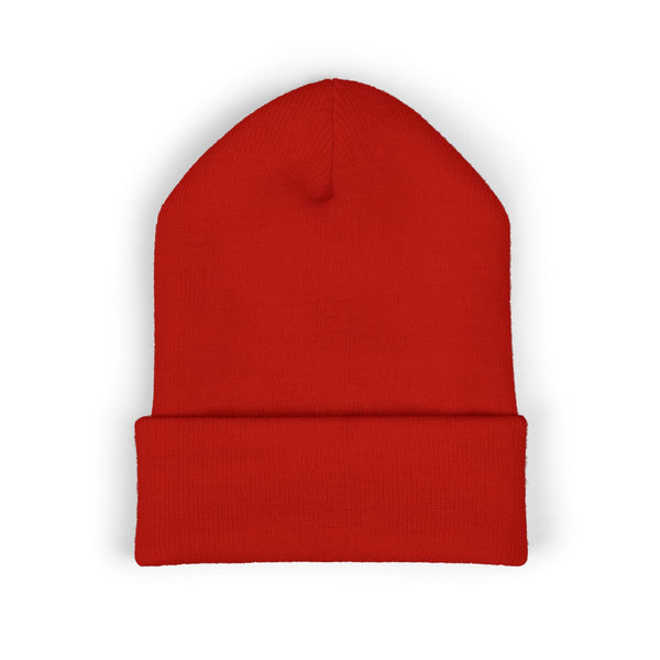 Aldosworld Classic Cuffed Beanie