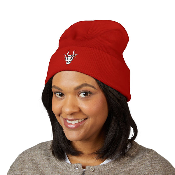 Aldosworld Classic Cuffed Beanie