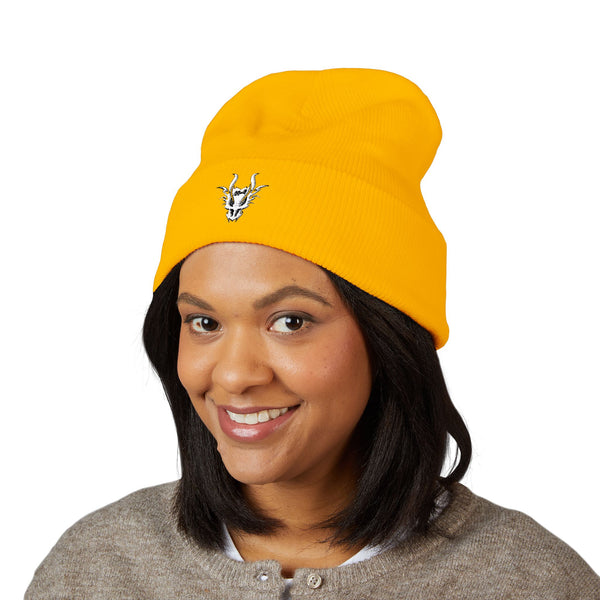 Aldosworld Classic Cuffed Beanie